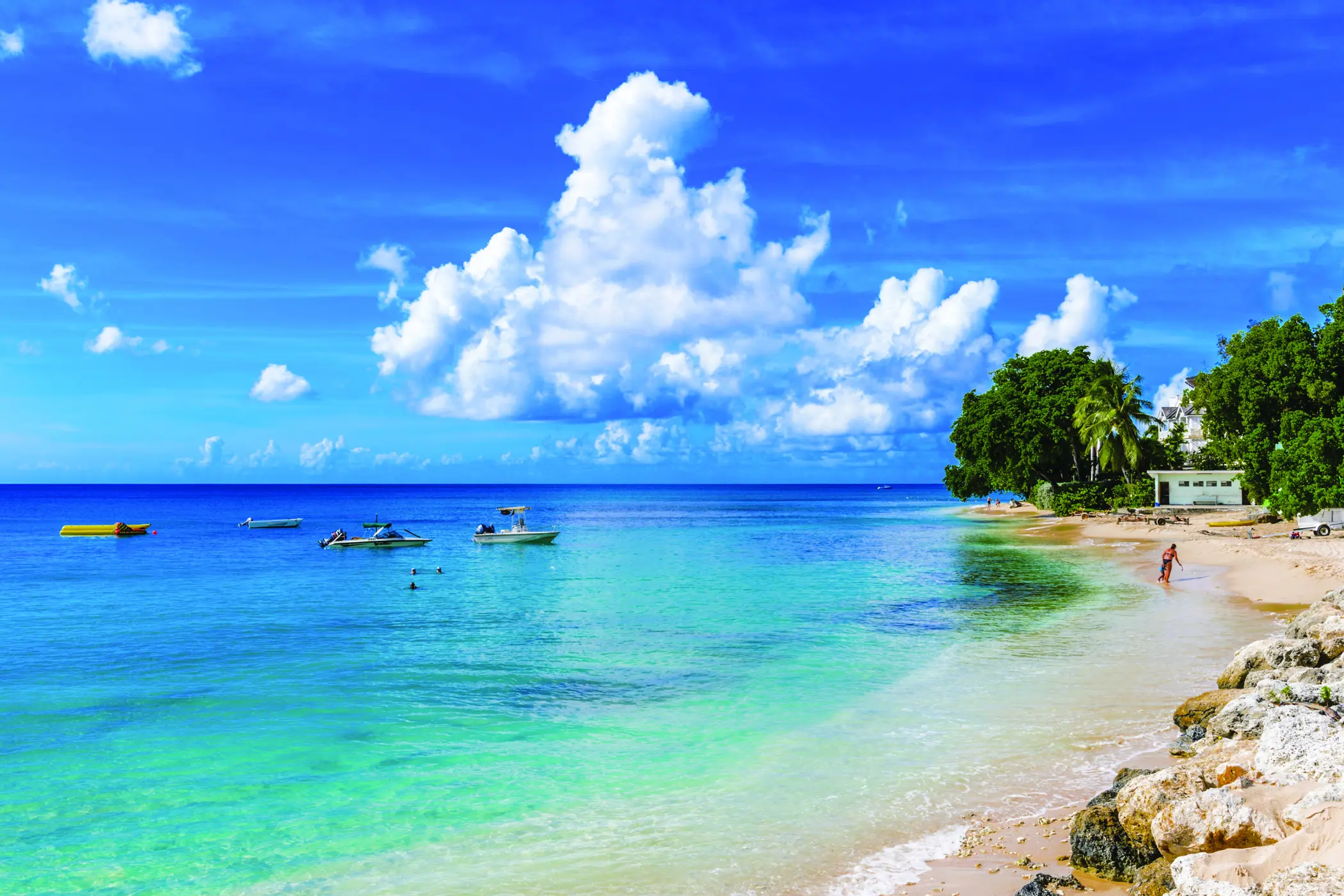 West Indies Cricket