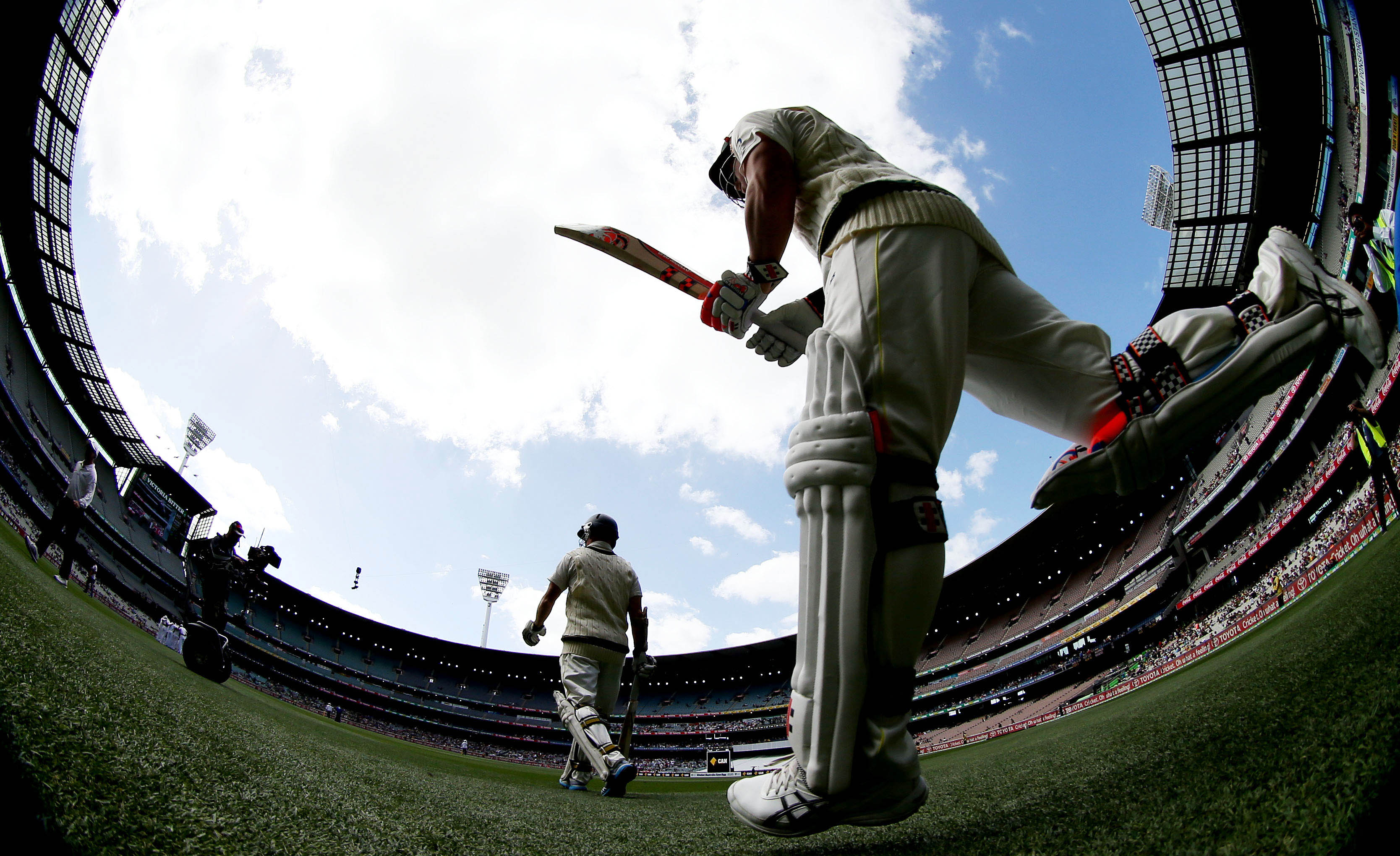 Cricket