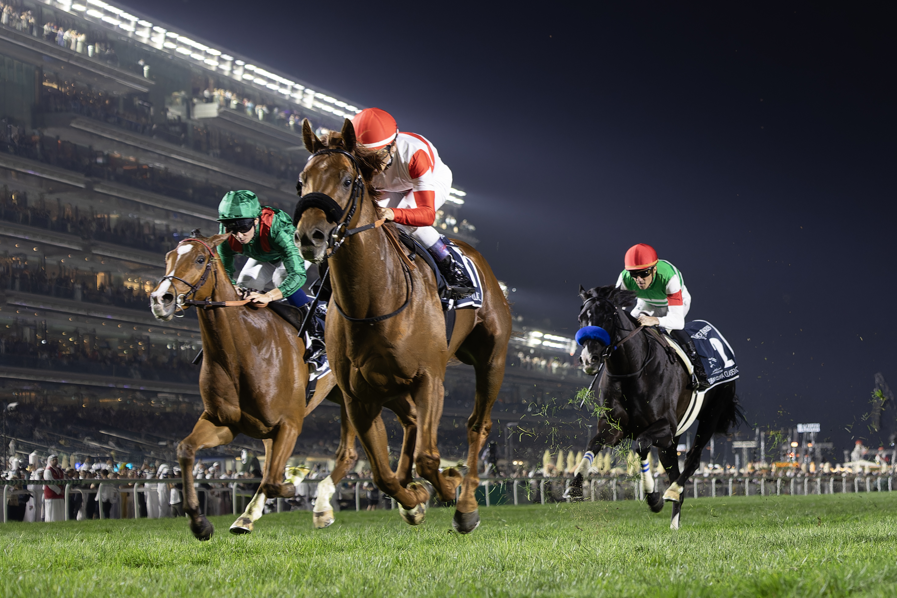 Dubai World Cup Experience