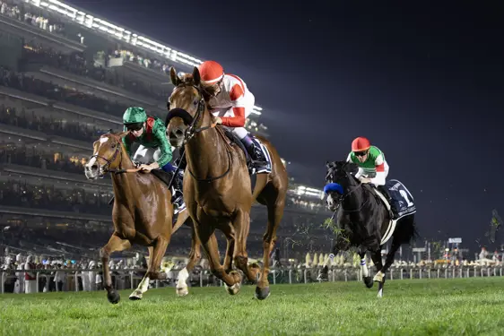 Dubai World Cup Experience