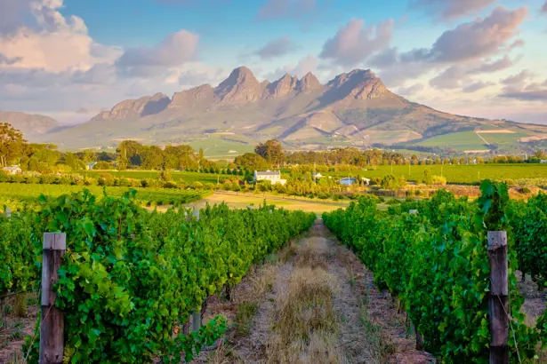 Cape Town Test & Winelands Tour – Grandstand