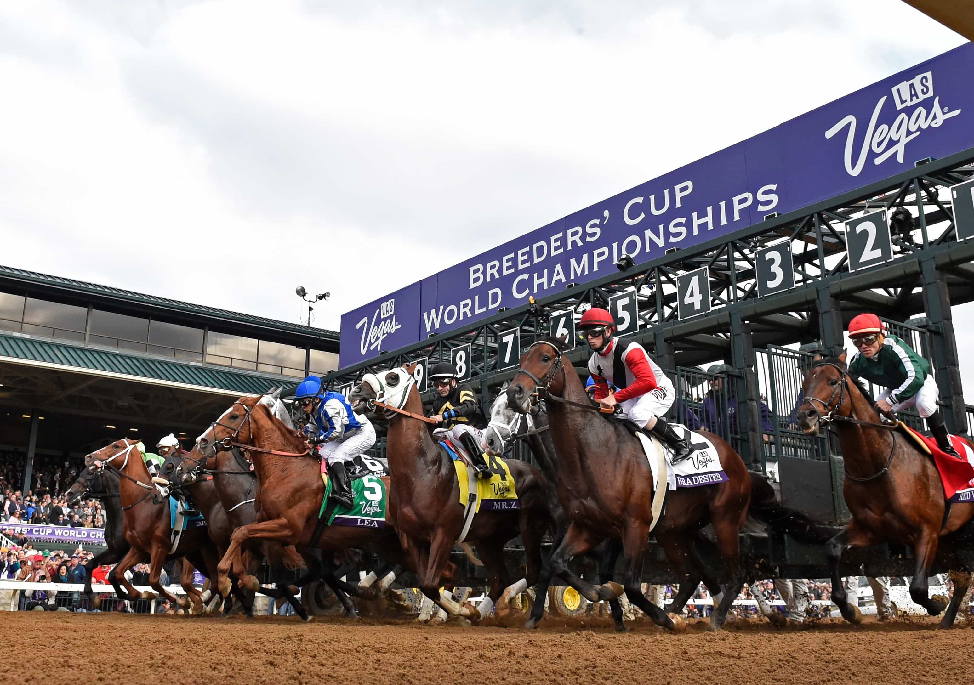 Breeders' Cup