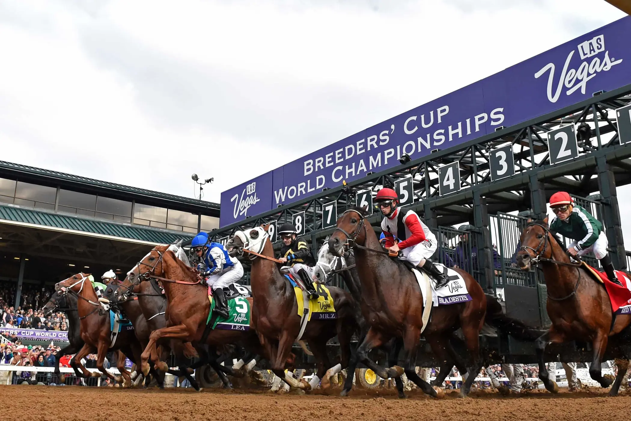 Breeders' Cup