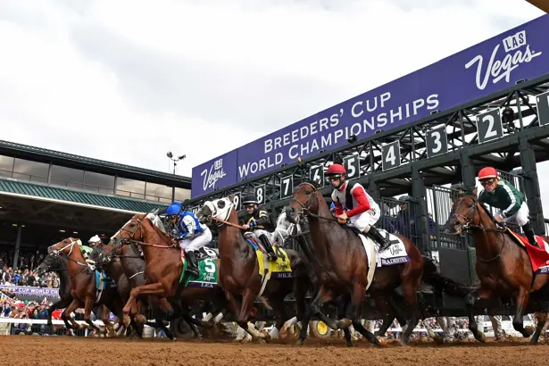 Breeders' Cup