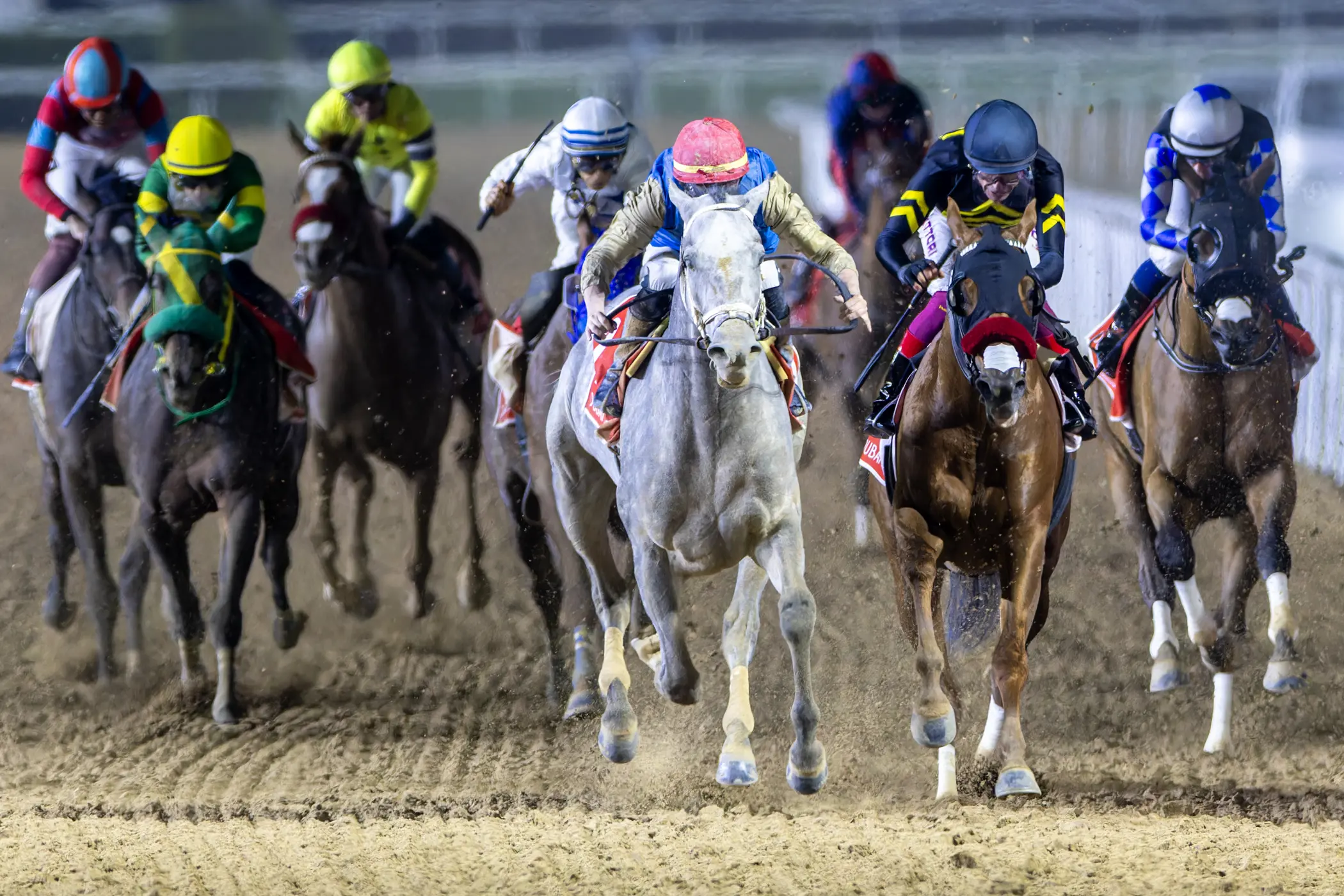 Dubai World Cup