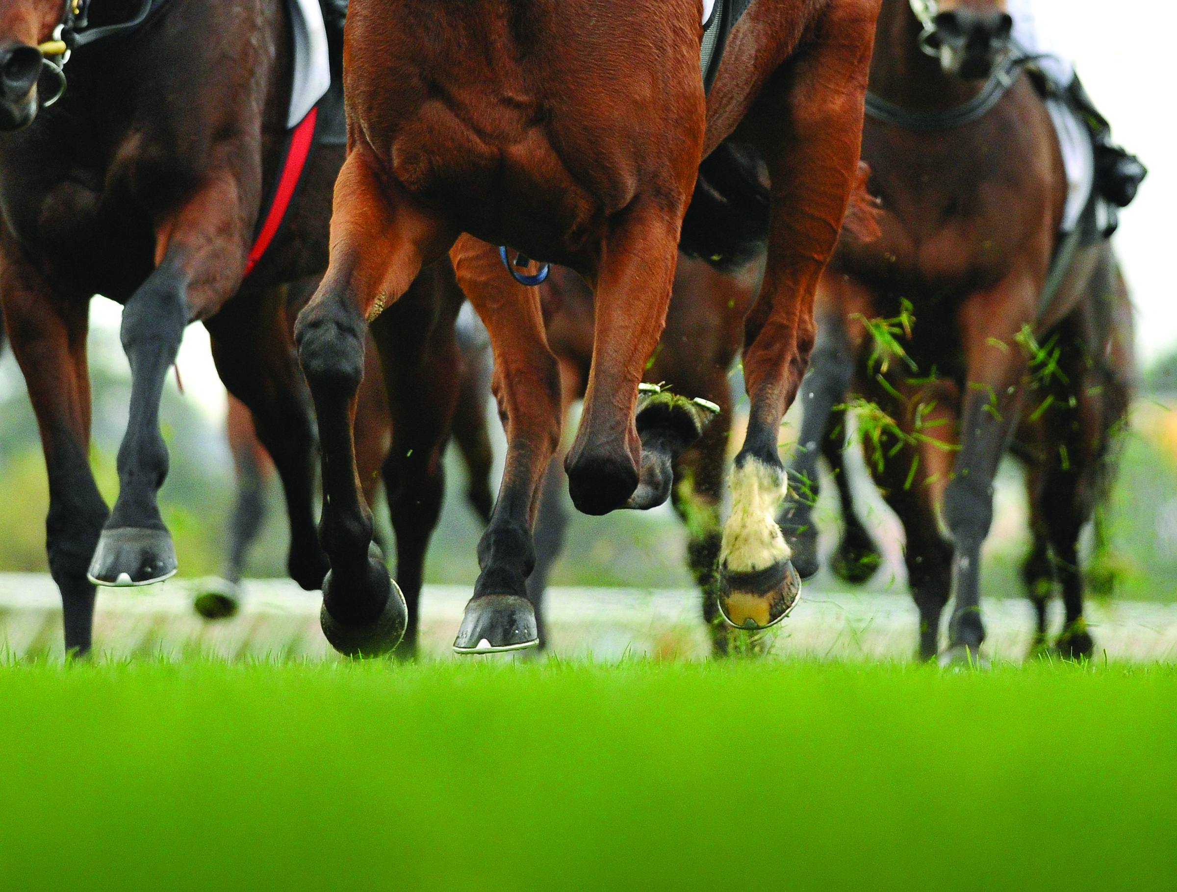 Horse Racing
