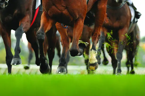 Horse Racing