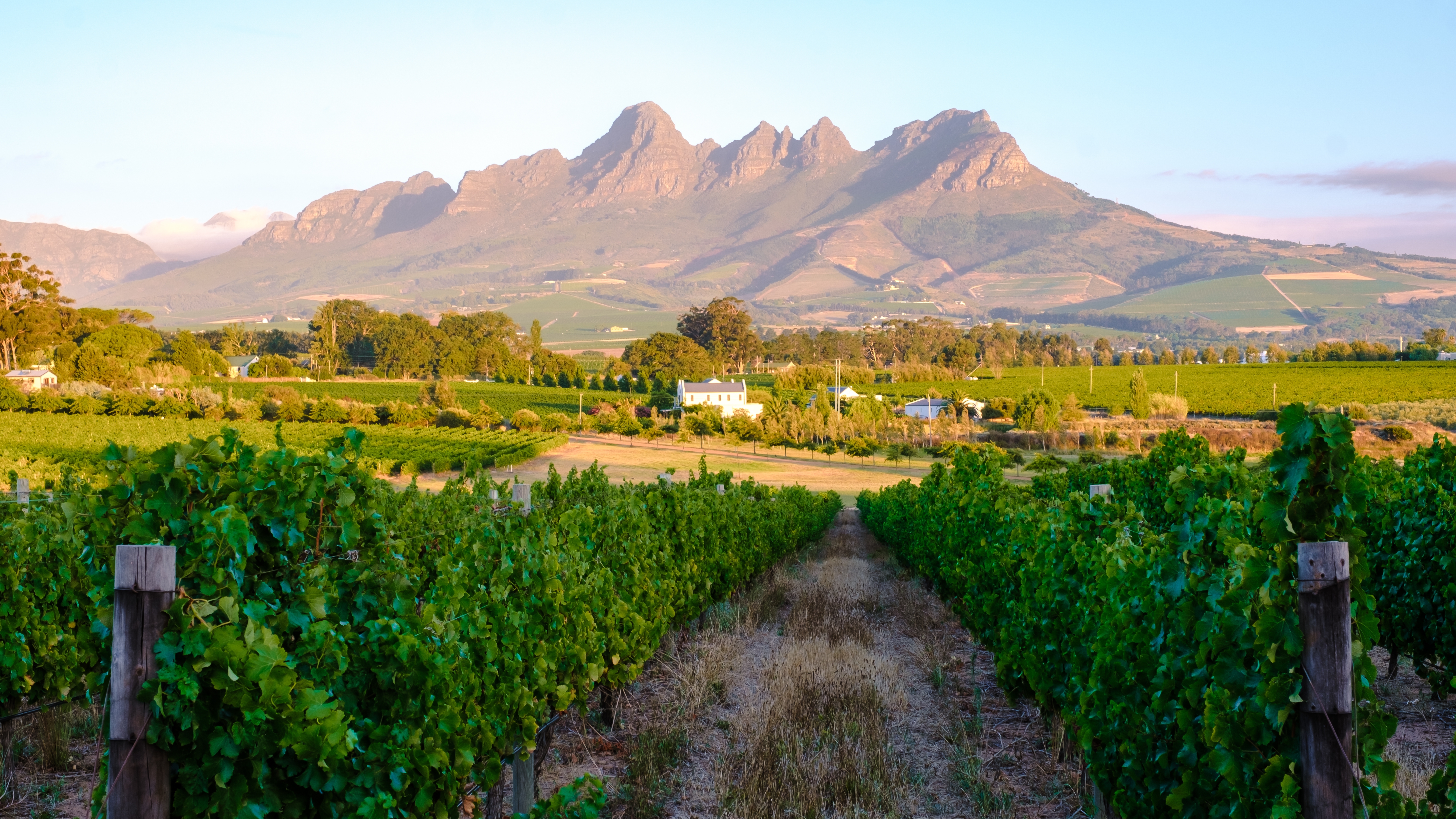 Day 1 | 30 December | Cape Winelands