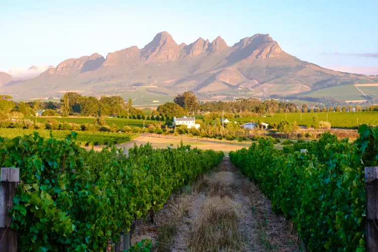 Day 1 | 30 December | Cape Winelands