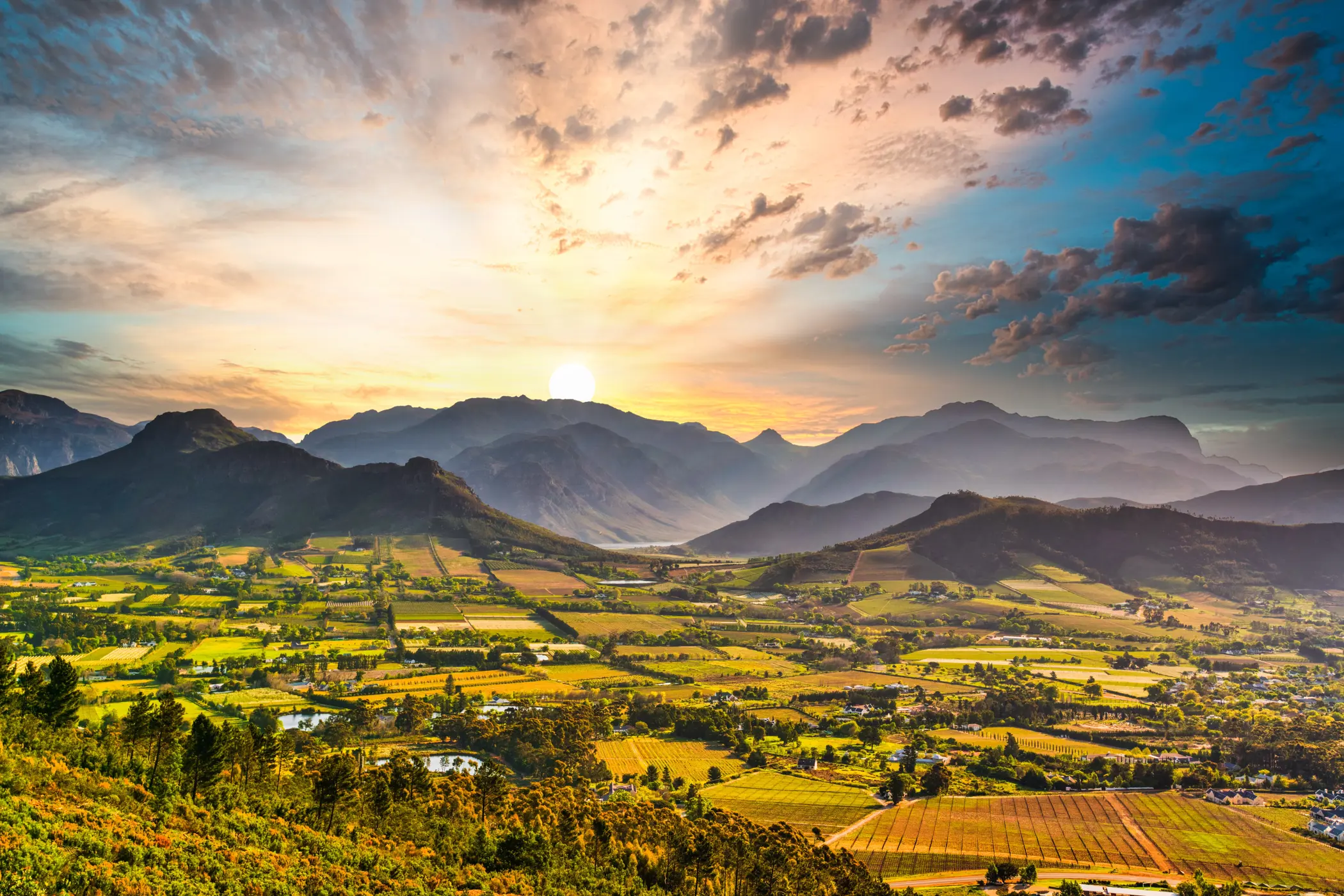 Cape Town Test & Winelands Tour – Hospitality
