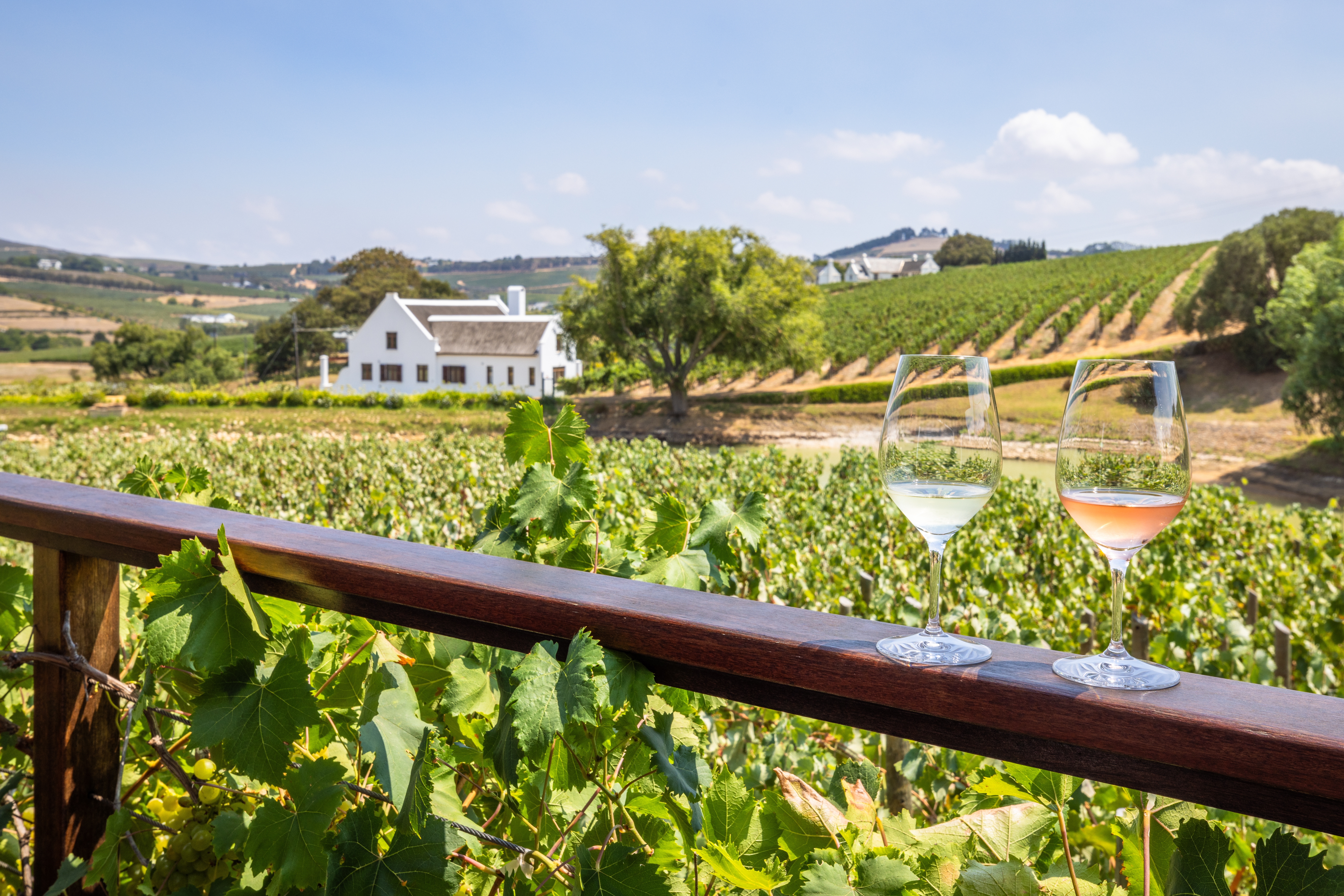 Day 3 | 1 January | Cape Winelands